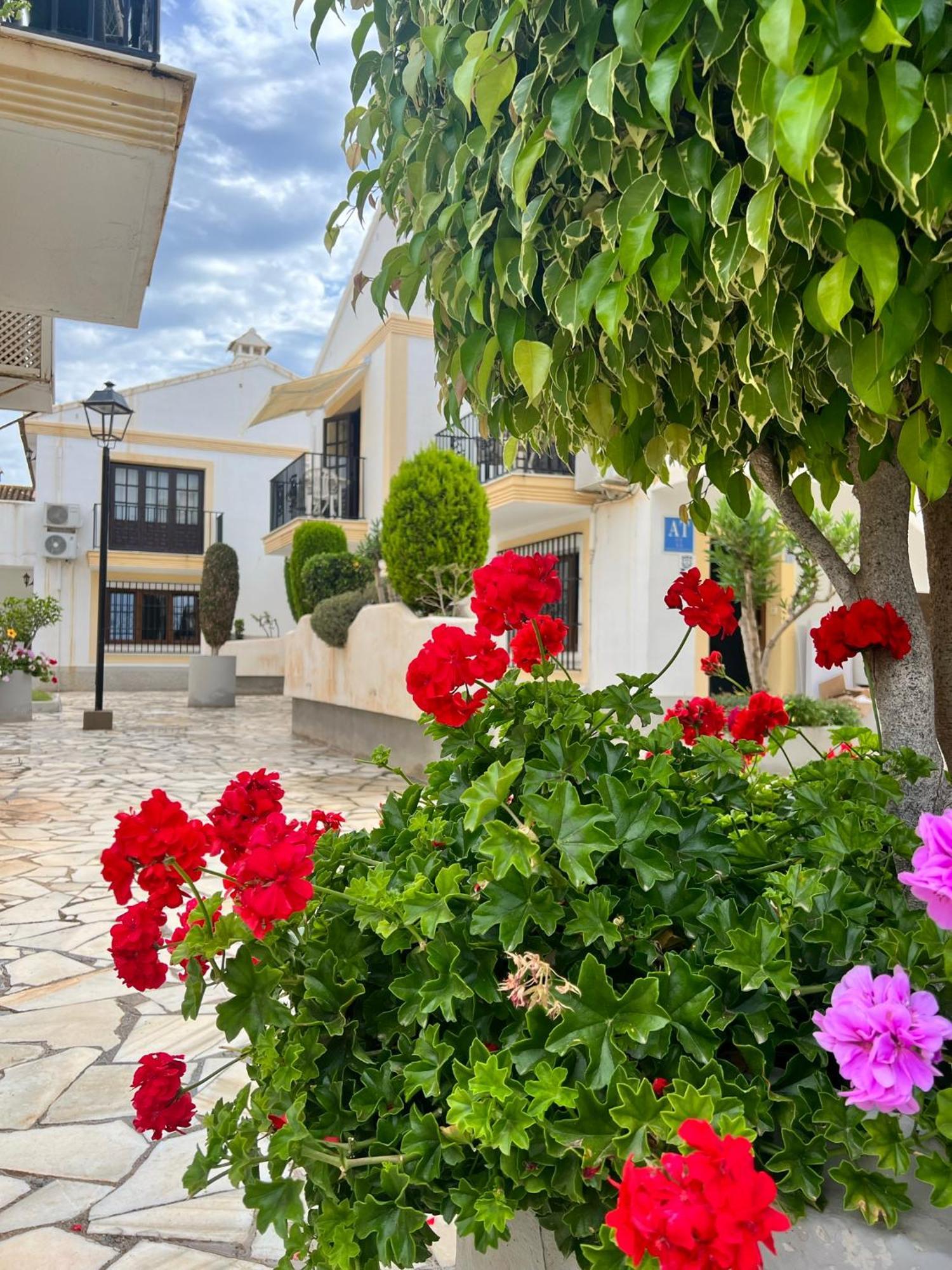 Marisol Apartment Vera Playa Andalusia 150 M From The Beach, Spain Екстер'єр фото